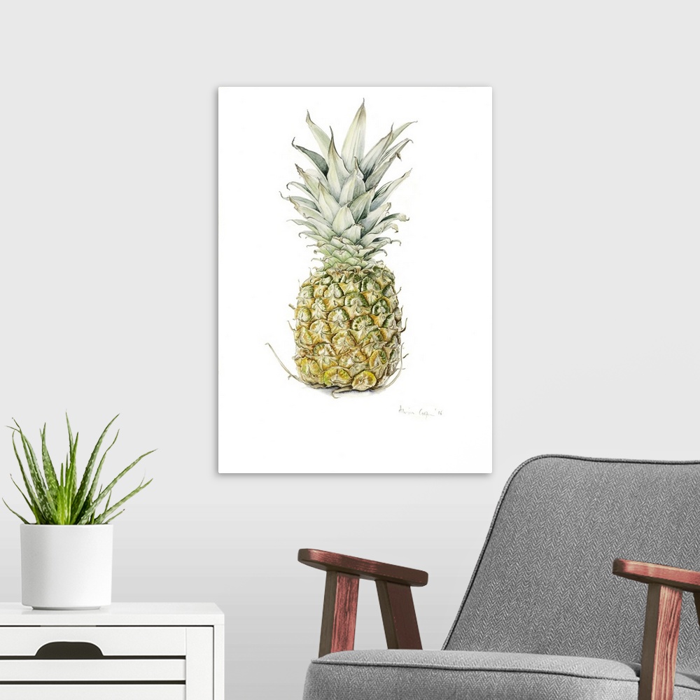 A modern room featuring Ripe Pineapple, watercolour, 2016.