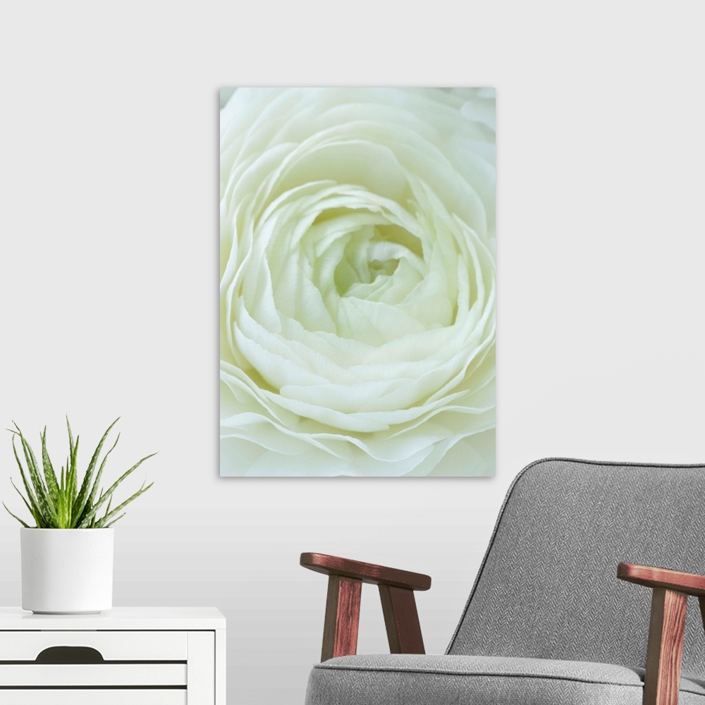 A modern room featuring Close-Up Of White Flower