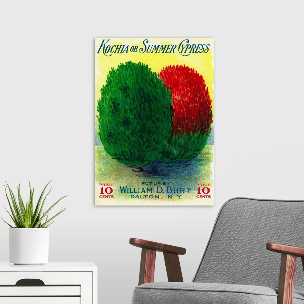 A modern room featuring A vintage label from a seed packet for Kochia and Summer Cypress.