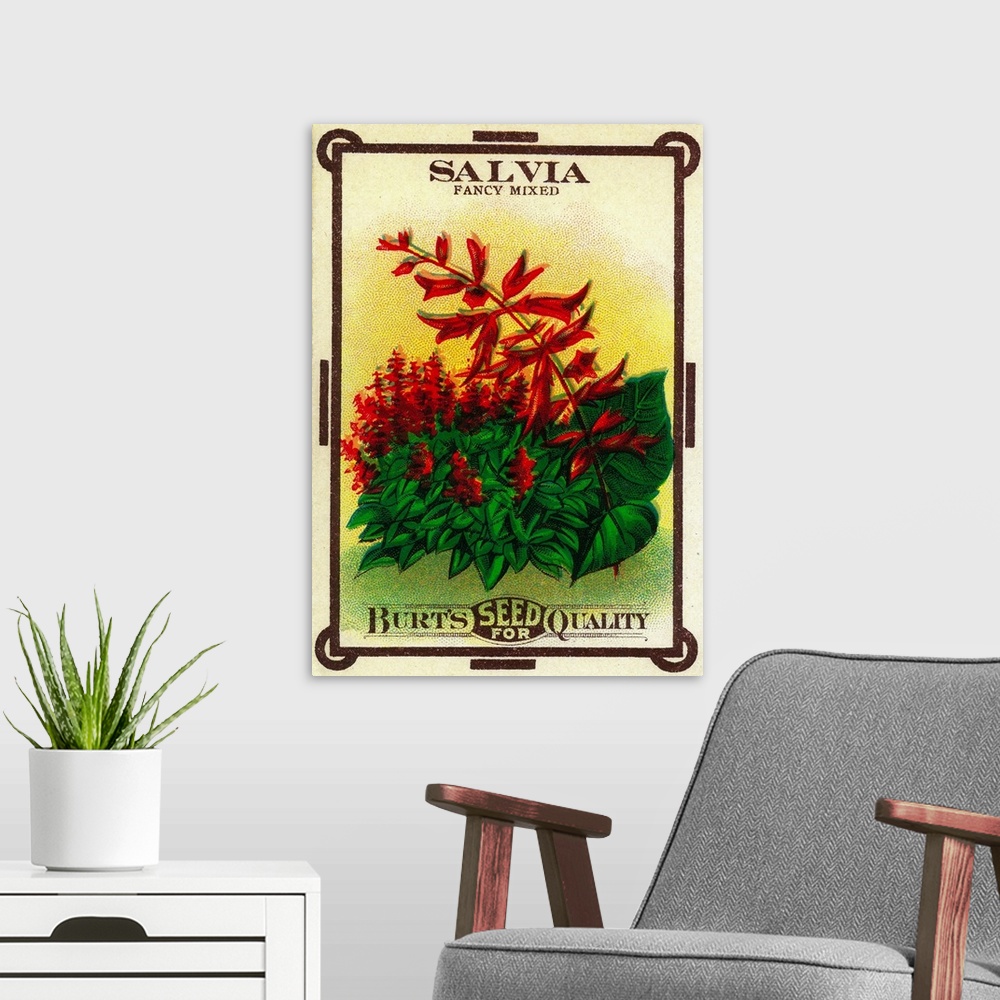 A modern room featuring A vintage label from a seed packet for salvia.