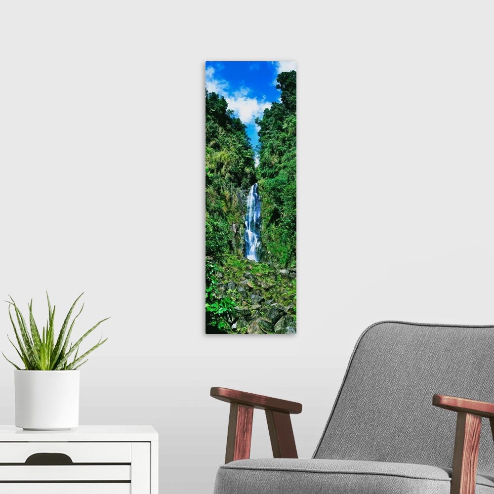 A modern room featuring Waterfall in a forest, Father Falls, Trafalgar Falls, Domenica, Caribbean