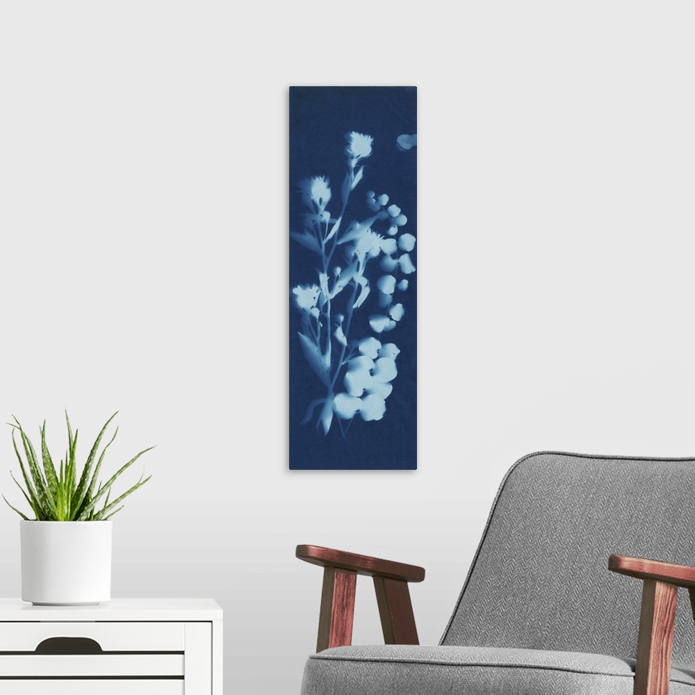 A modern room featuring A blueprint style cyanotype photograph of a plant.
