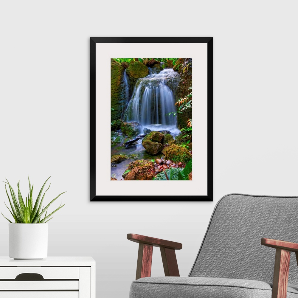 A modern room featuring Photograph of cascading water falling into a rocky stream in colorful forest.