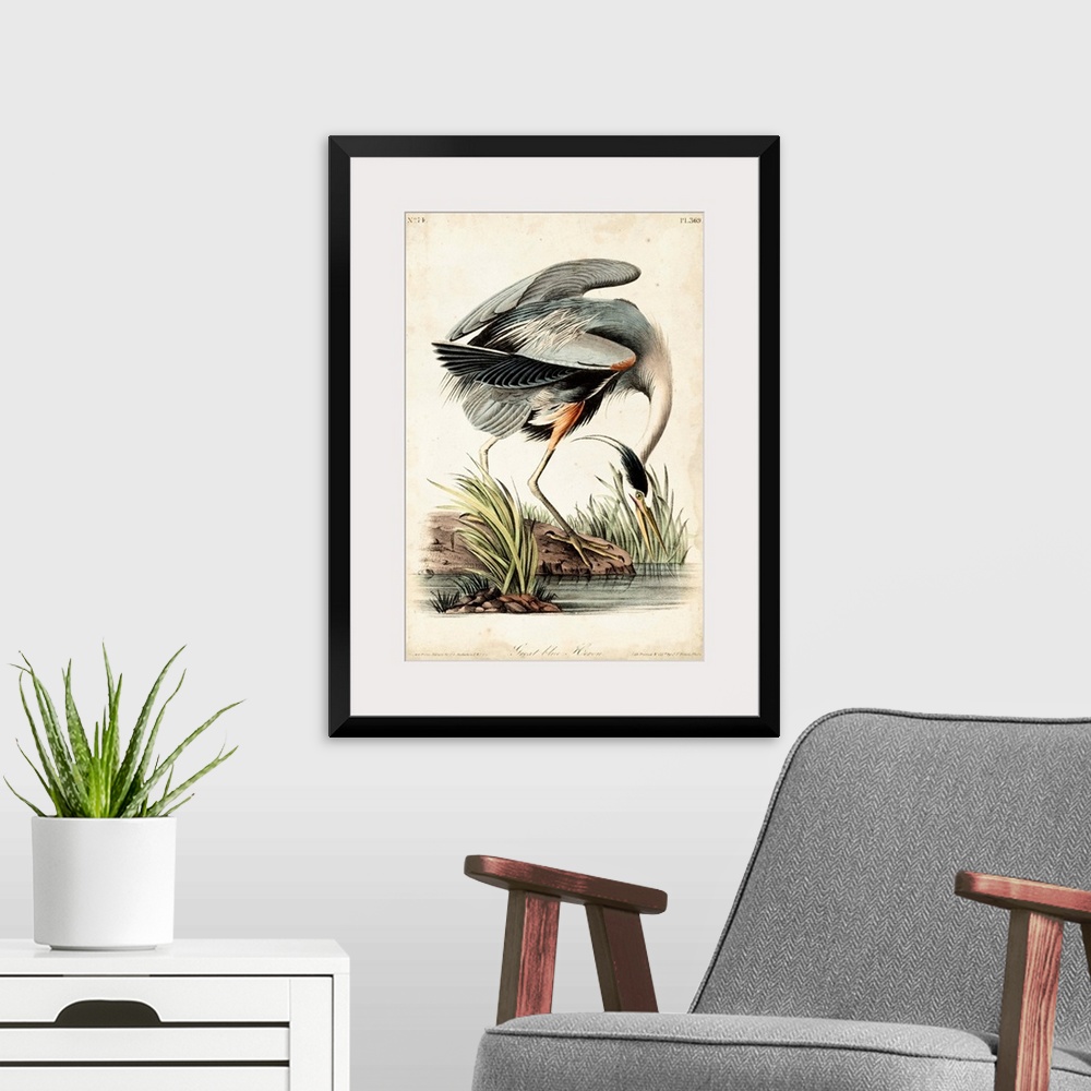 A modern room featuring Great Blue Heron