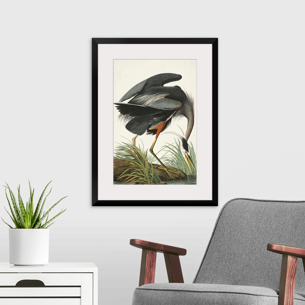 A modern room featuring Great Blue Heron