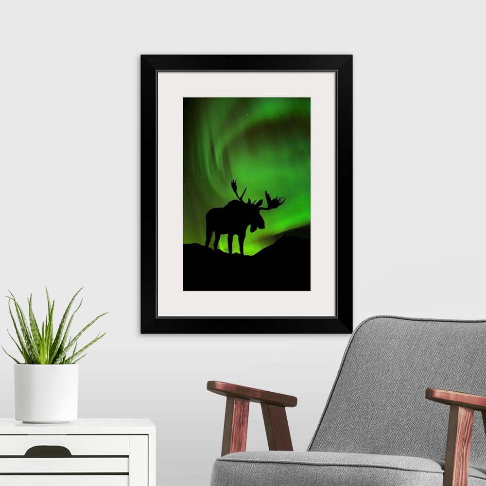 A modern room featuring Silhouette of Moose with green Aurora Borealis behind it, Interior, Alaska
