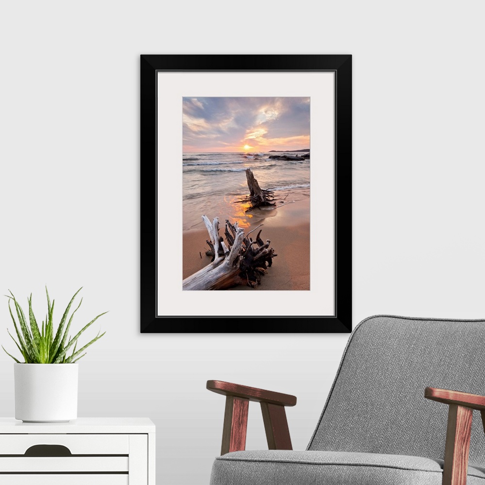 A modern room featuring Pastel scene of two large pieces of sea bleached driftwood, lining up with the setting sun as sha...