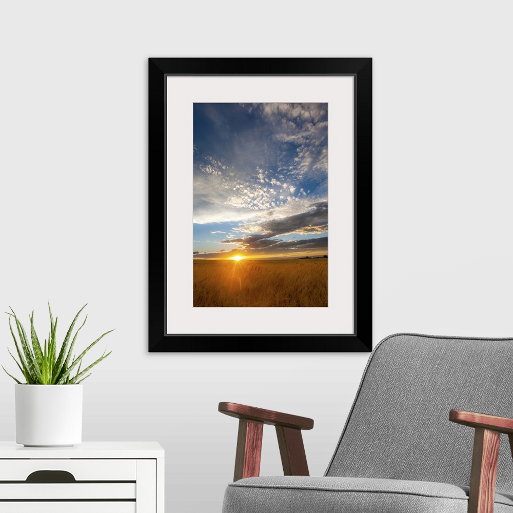 A modern room featuring A photograph of a wheat field seen at sunset with dramatic clouds overhead.
