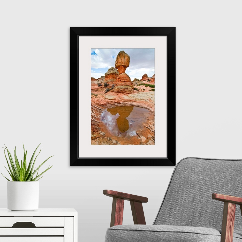 A modern room featuring USA, Arizona, Vermillion Cliffs National Monument. Water pool in sandstone formations in South Co...