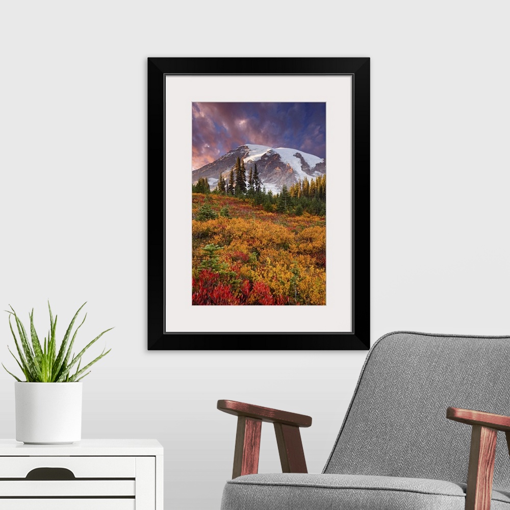 A modern room featuring Washington, Mount Rainier National Park, sunset highlights on mountain  and fall-colored meadow i...