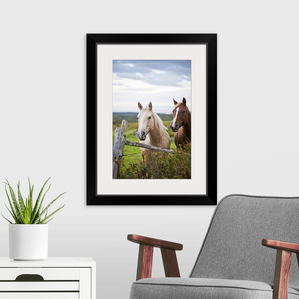 A modern room featuring This vertical piece is a photograph taken of two horses as they stand behind a wooden fence. The ...