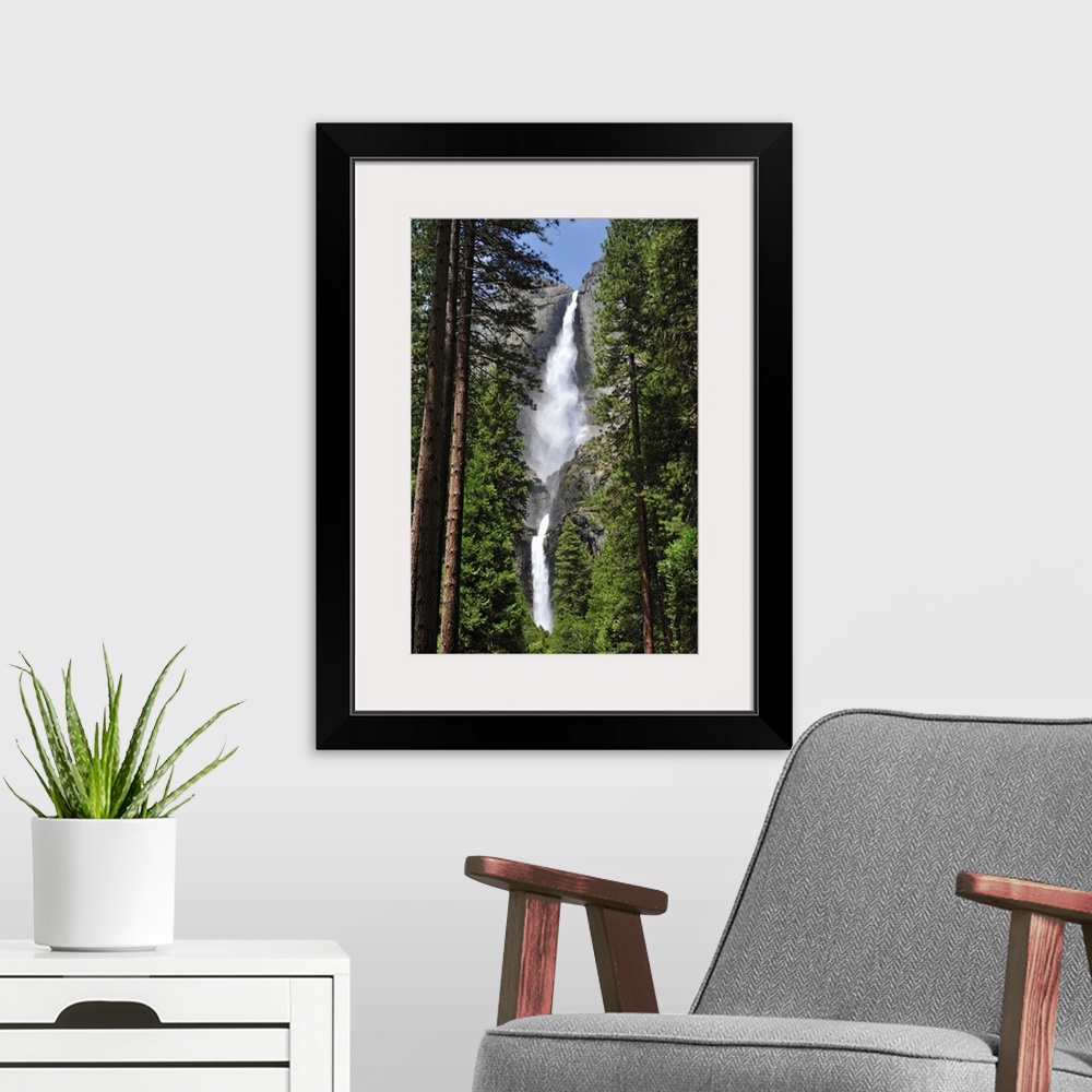 A modern room featuring A massive waterfall is photographed through very tall pine trees.