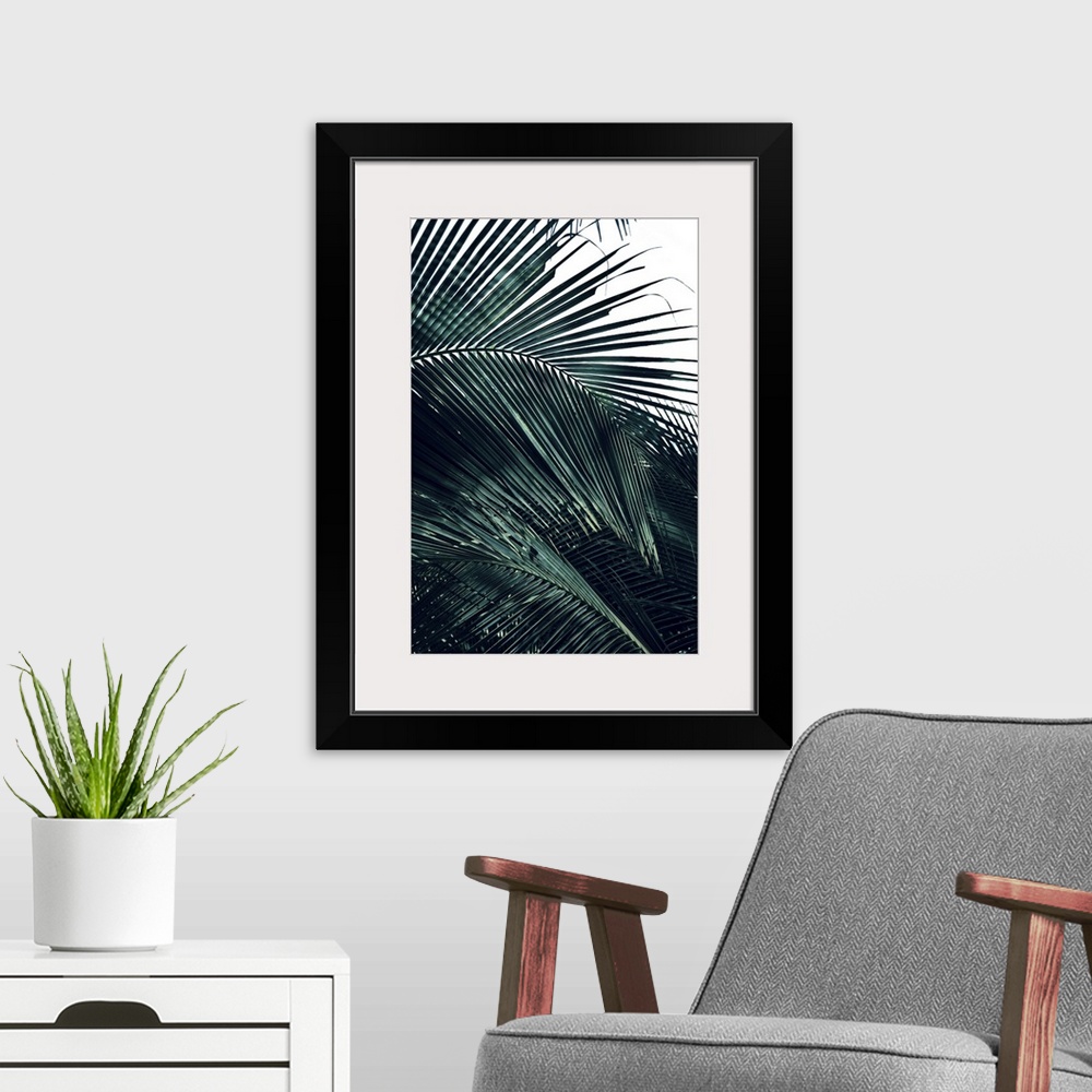 A modern room featuring Photograph of close up palm leaves, highlighting the texture, with a blown out background.