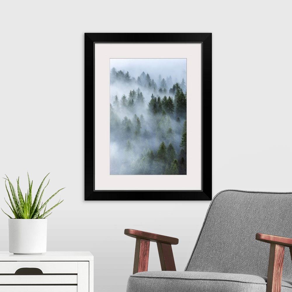 A modern room featuring As the fog started to lift, layers upon layers started to appear and reveal the forests below the...