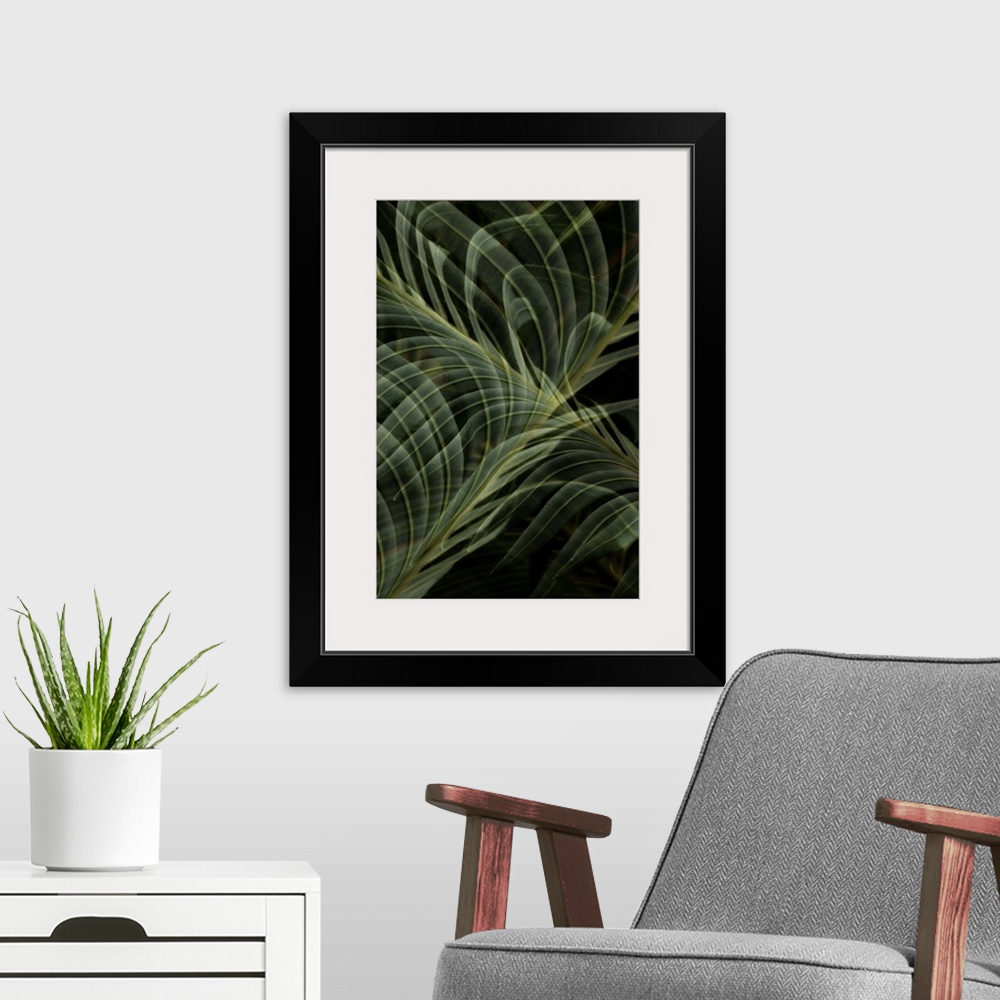 A modern room featuring Abstract photograph of a multiple exposure fern frond.