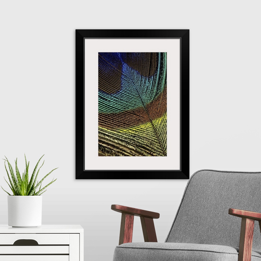 A modern room featuring Large, portrait close up photograph of the colorful tip of a peacock feather.