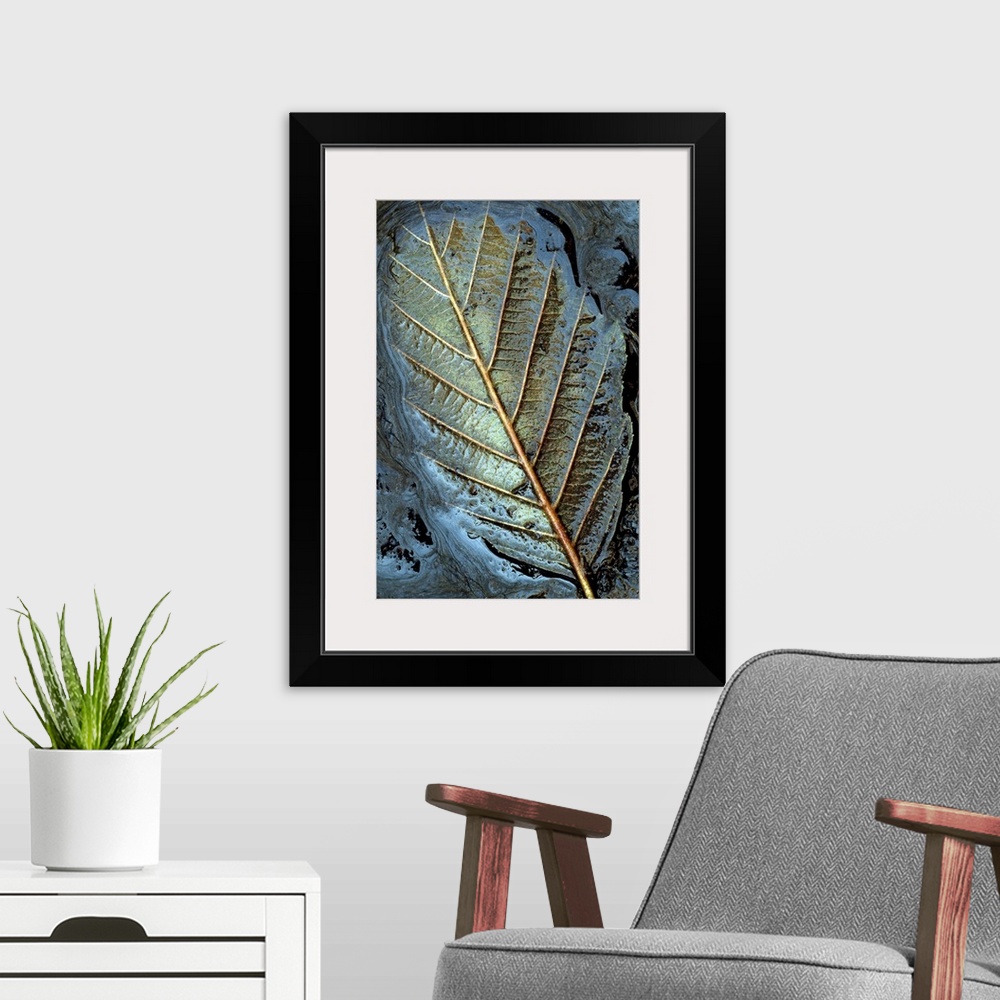 A modern room featuring A close up nature photograph that has taken on some abstract qualities; a leaf is submerged in mu...