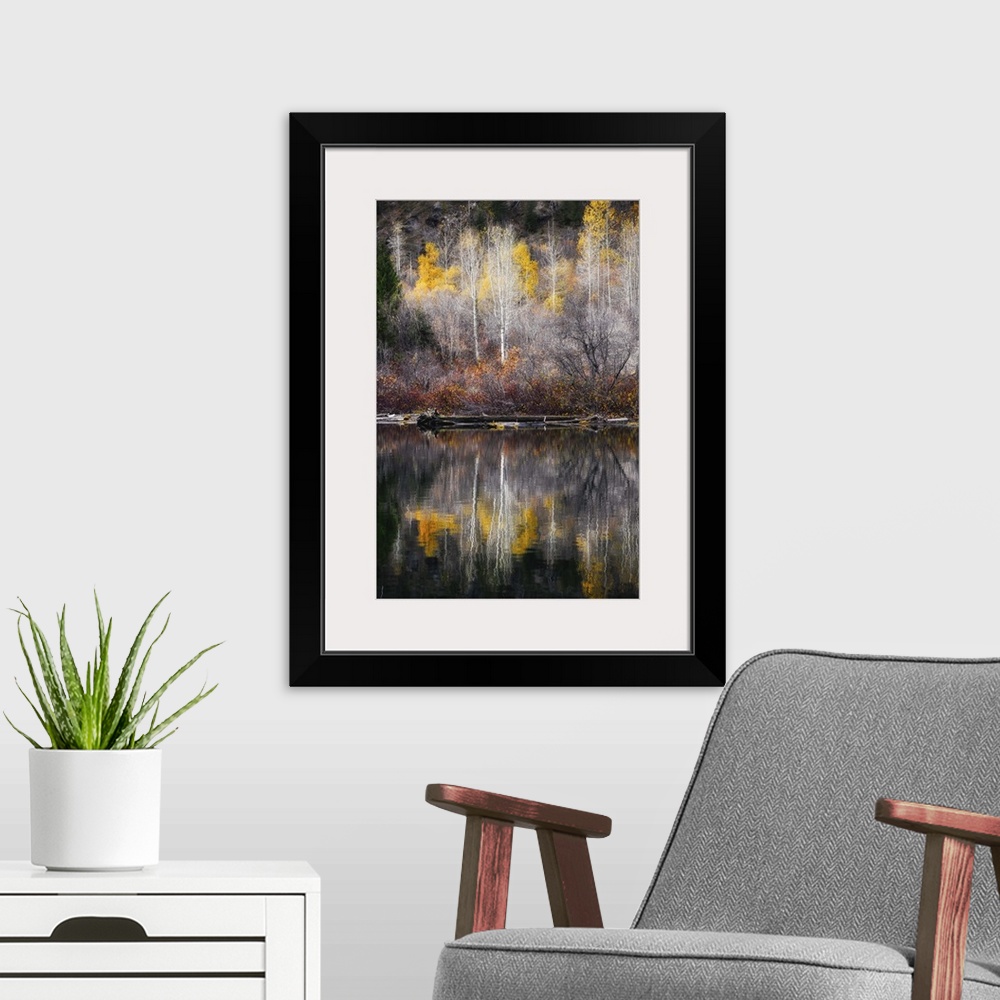 A modern room featuring The edge of a forest with yellow-leaved trees mirrored in the calm water below.