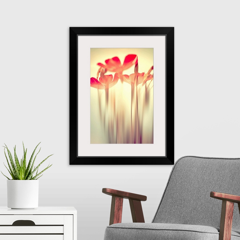 A modern room featuring Fine Art photography of floral heads on a bright sun-like background with their stems blurry on t...