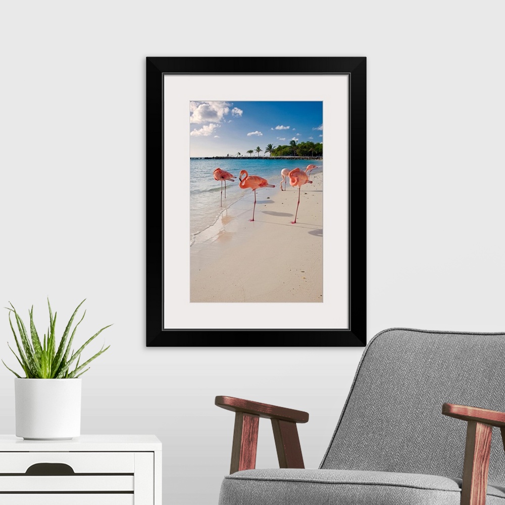 A modern room featuring This large wall art is a vertical photograph of five flamingos relaxing on a sandy, tropical beach.