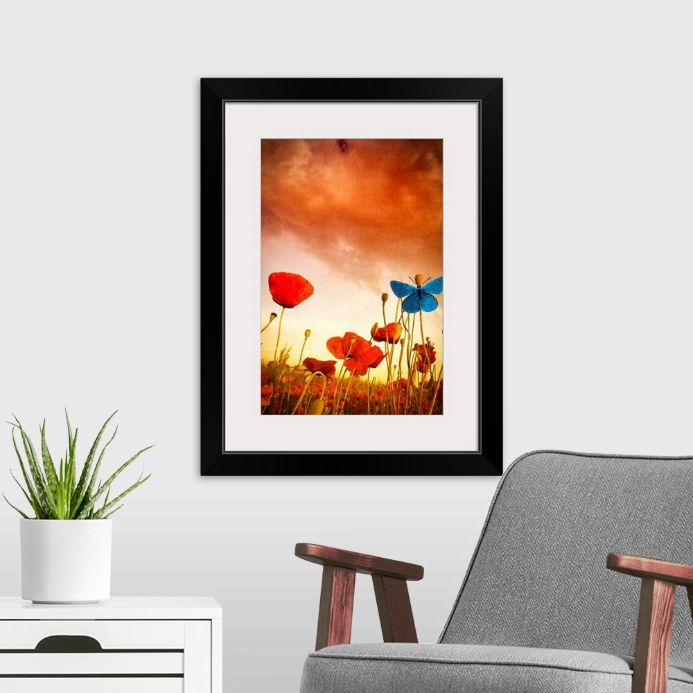 A modern room featuring Poppies Dream