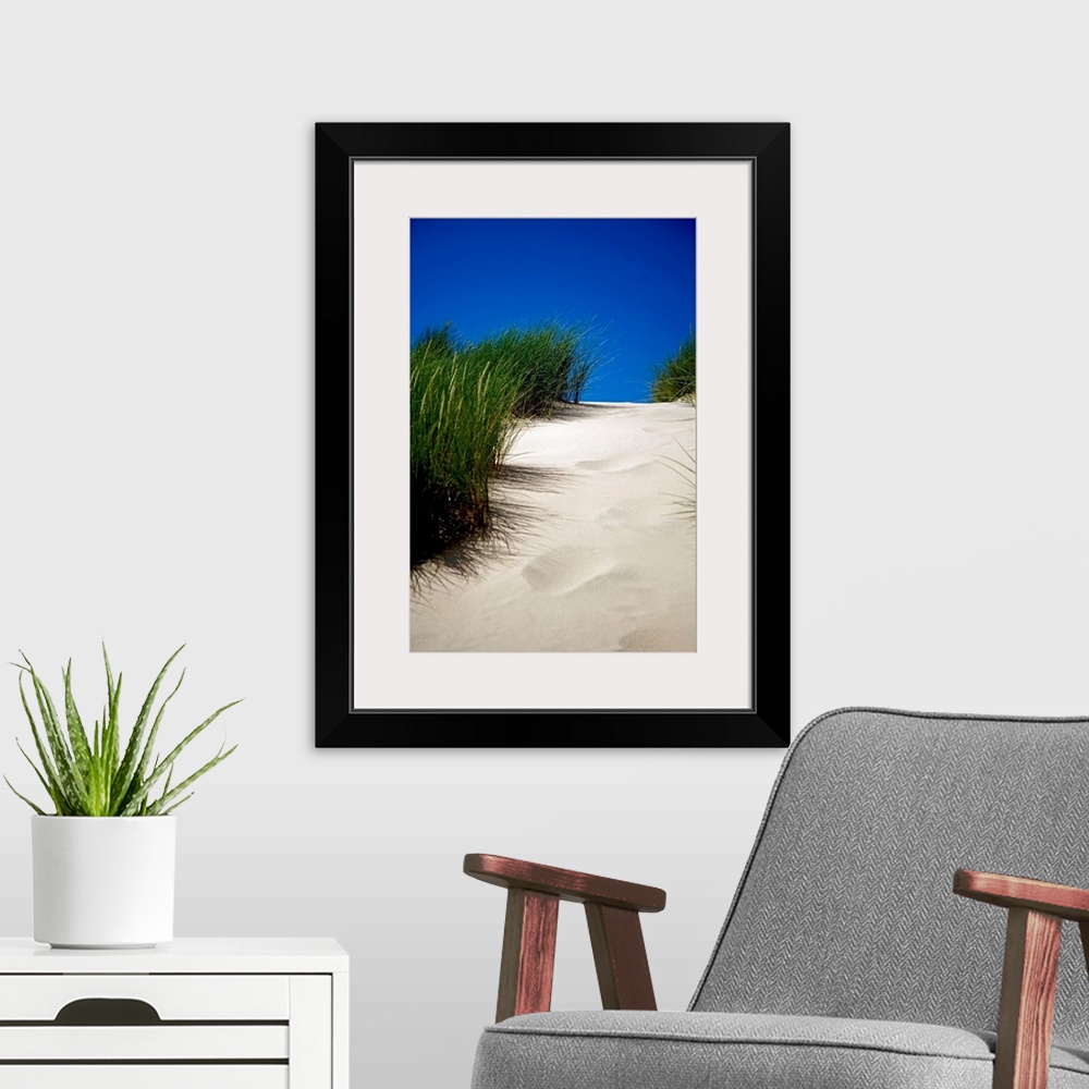 A modern room featuring This decorative wall art is a vertical photograph showing the detail of a path up a sand dune unm...