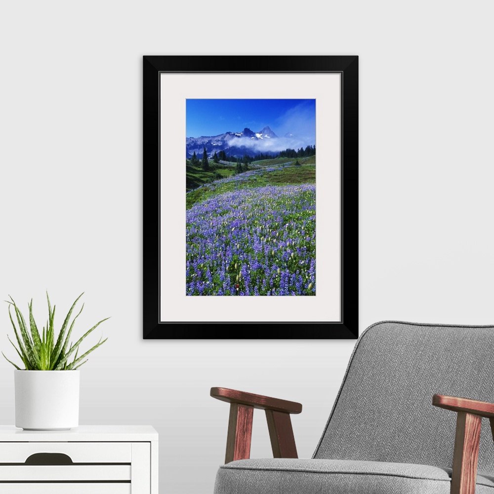 A modern room featuring Vertical photo of distant rocky mountain peaks at the edge of a lush temperate valley full of eve...