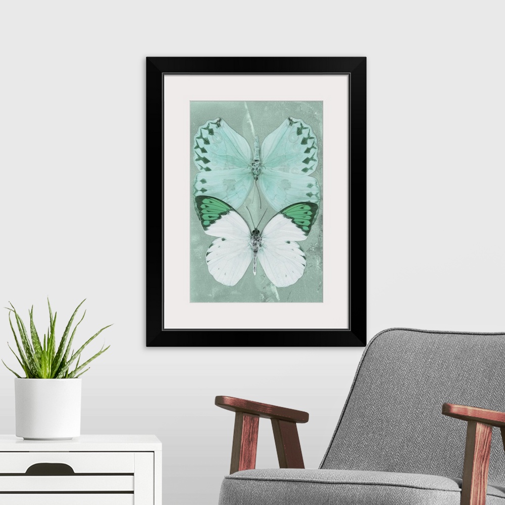 A modern room featuring Two butterflies overlaid on a coral green sparkly background.