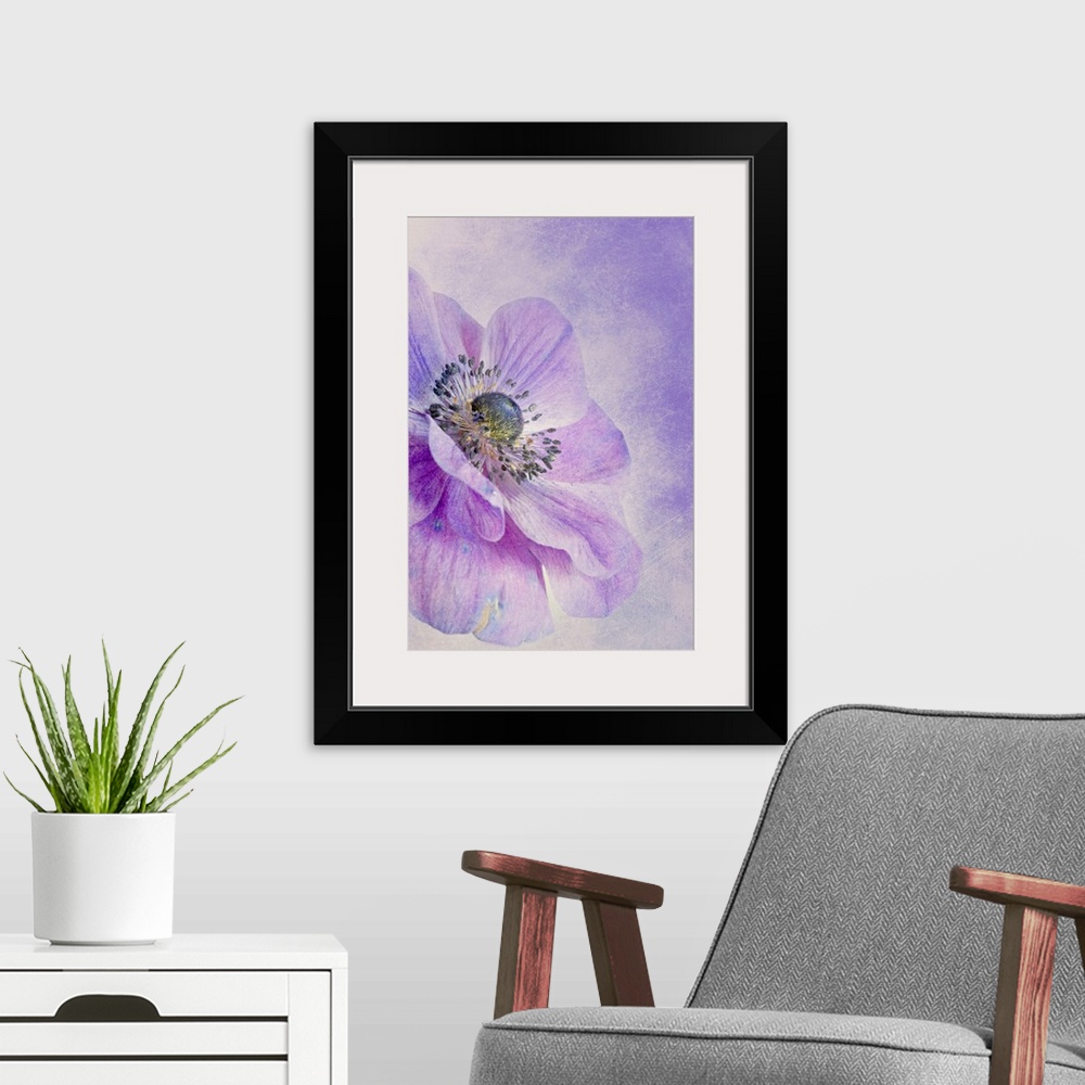 A modern room featuring Large, vertical, close up fine art photograph of an anemone flower in bloom, on a background of s...