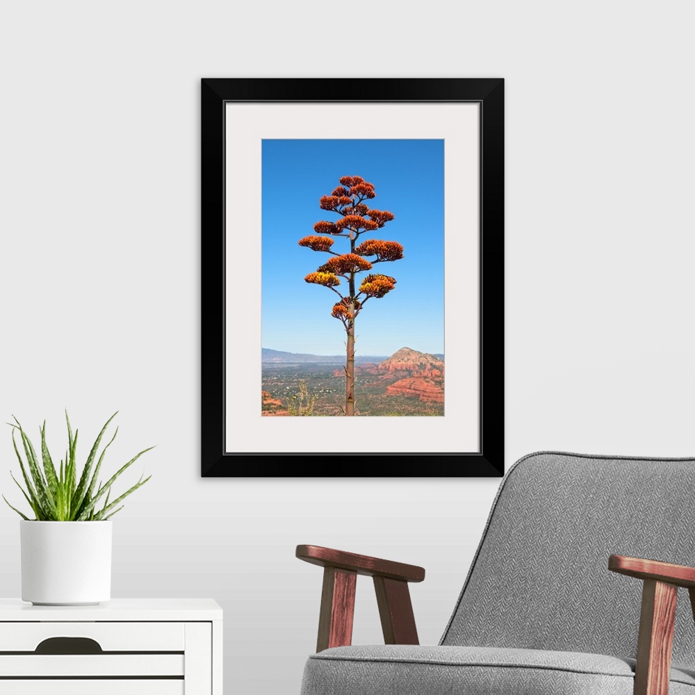 A modern room featuring Landscape photograph of red sandstone formations in the distance and an agave flower tree in the ...