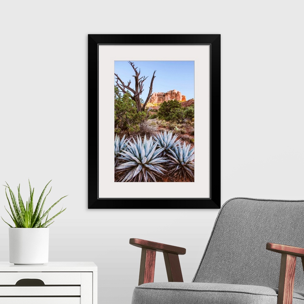 A modern room featuring View of agave plants with Cathedral Rock in the background, Sedona, Arizona.