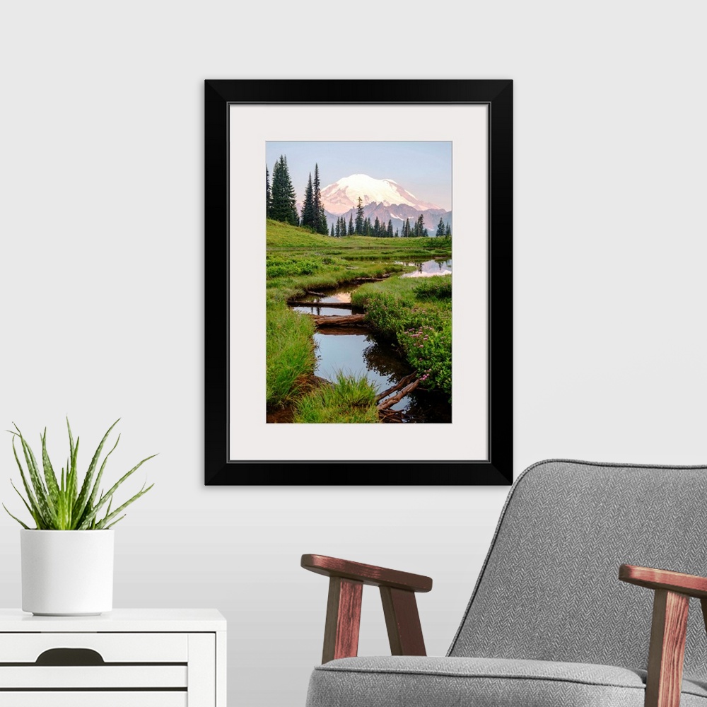 A modern room featuring View of Chinnook Creek in Mount Rainier National Park, Washington.