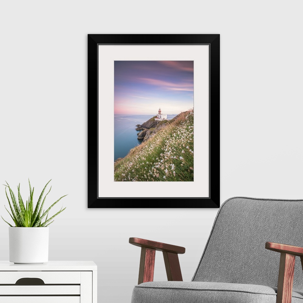 A modern room featuring Wild flowers with Baily Lighthouse in the background, Howth, County Dublin, Republic of Ireland, ...
