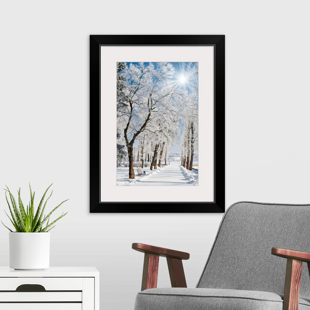 A modern room featuring Winter landscape with snow covered row of trees