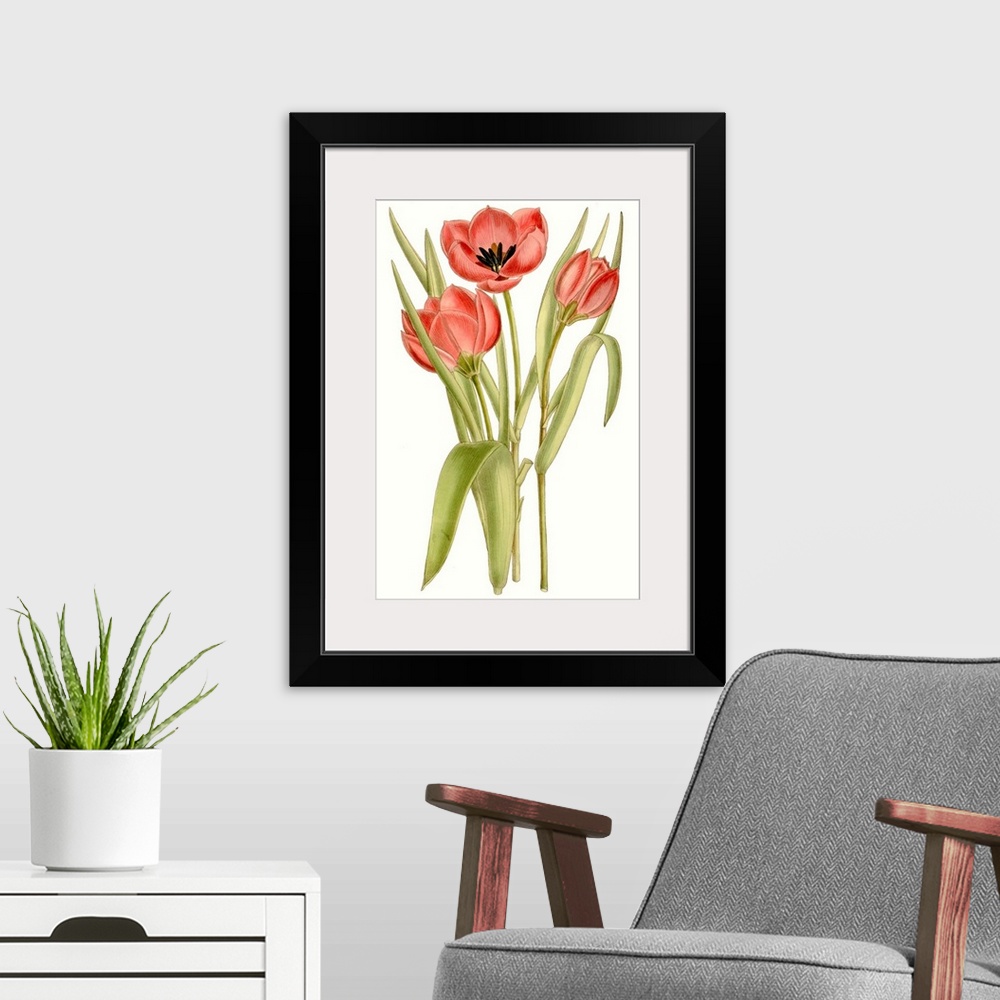 A modern room featuring Curtis Tulips VII