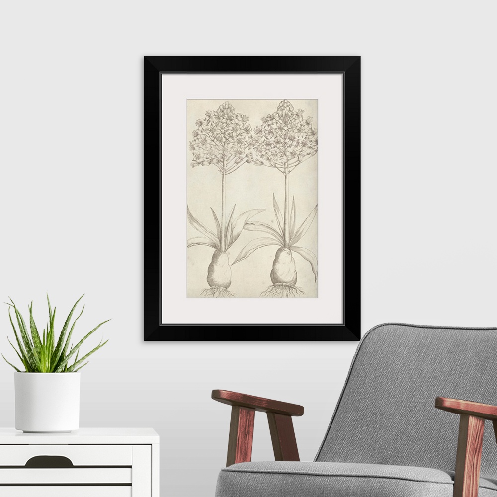 A modern room featuring This line illustration has a vintage feeling and features two plants showing the blossoms at the ...