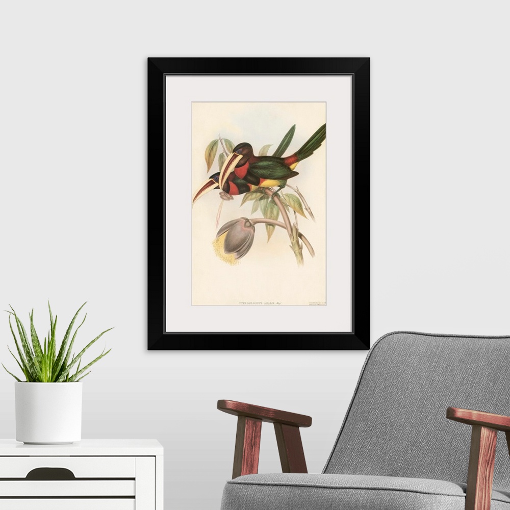 A modern room featuring Tropical Toucans VIII