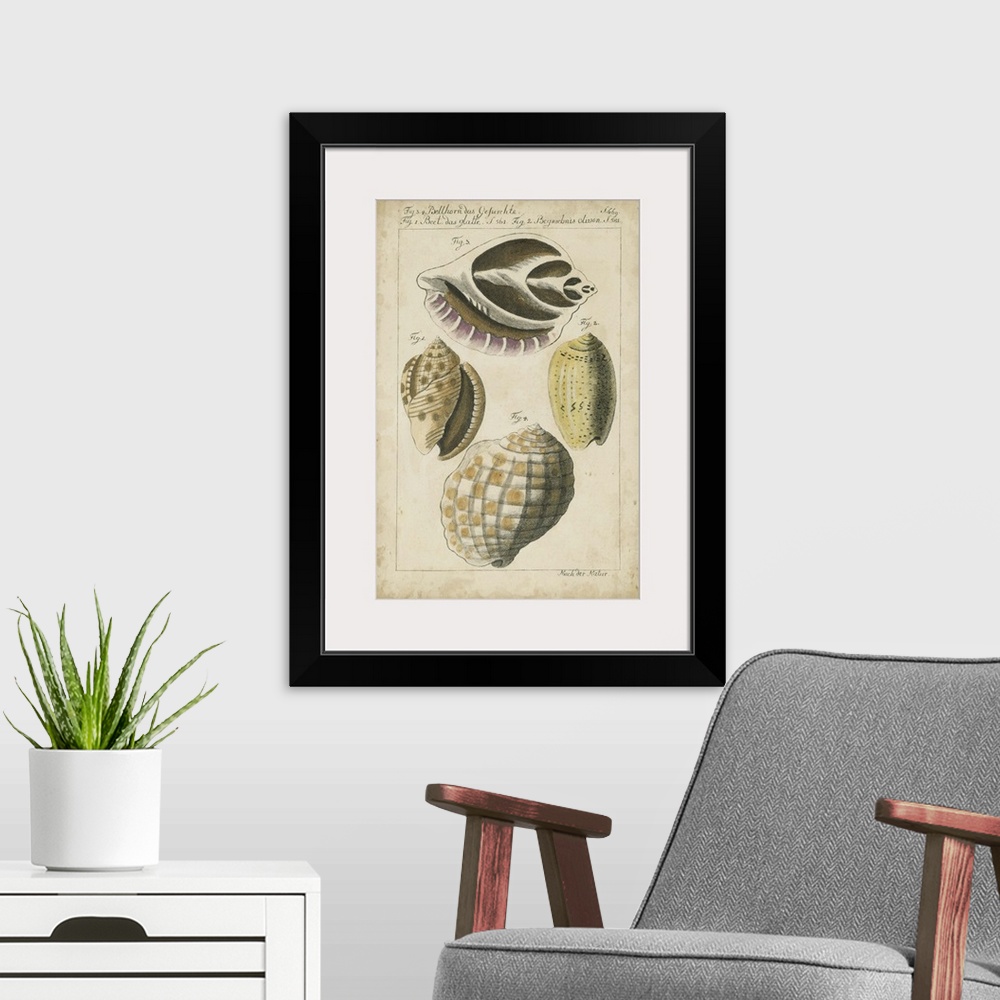 A modern room featuring Vintage Shell Study I