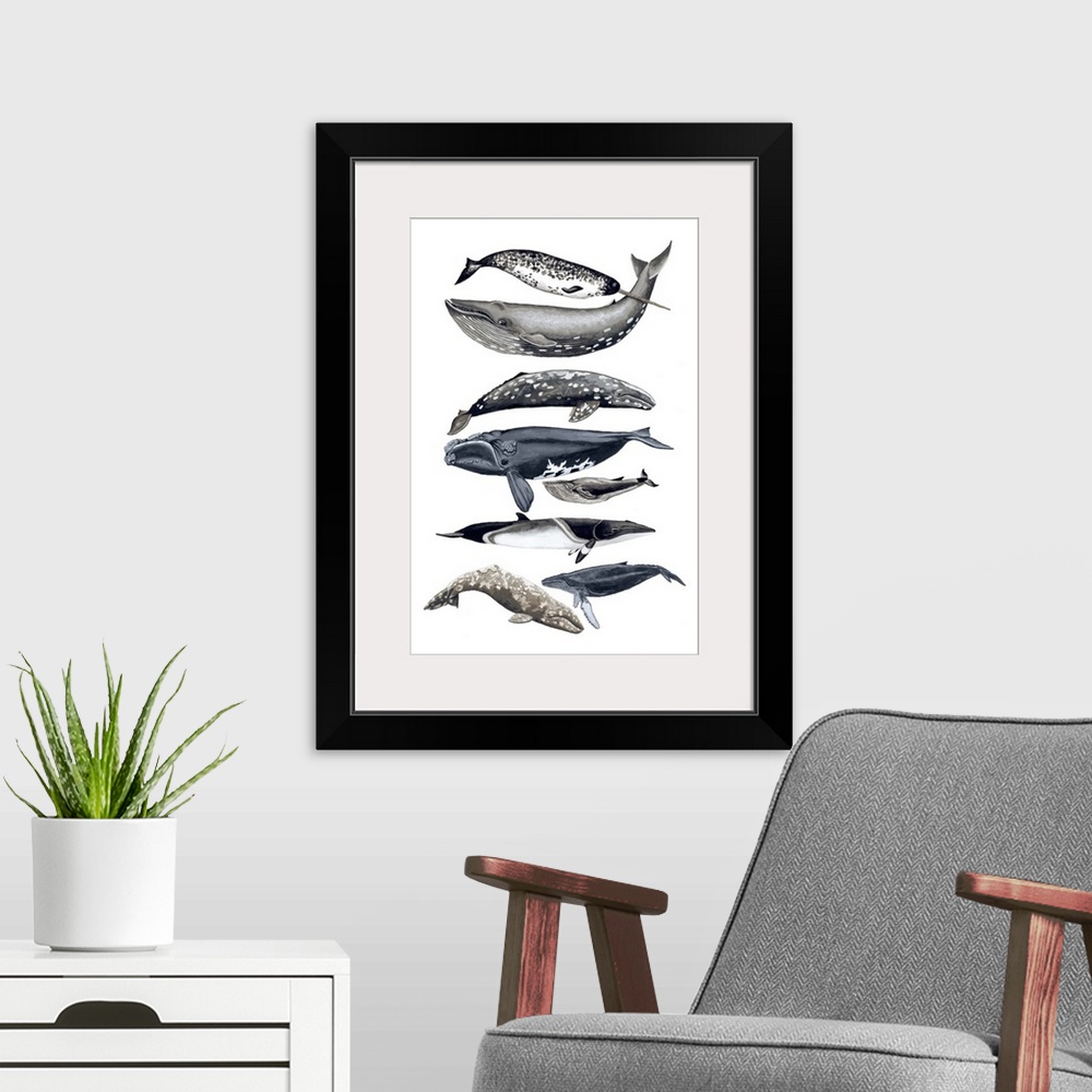 A modern room featuring Contemporary painting of different whale species in a vertical order against a white background.