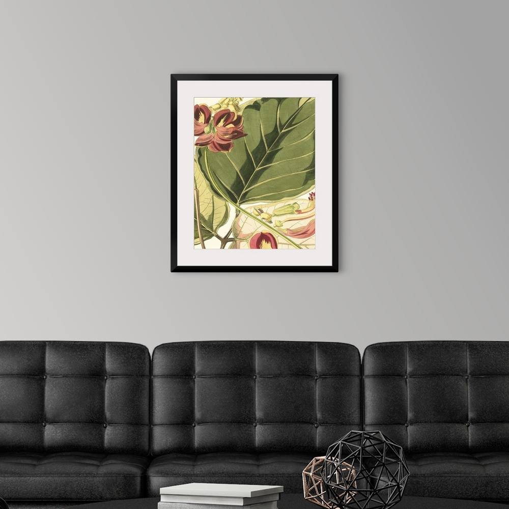 A modern room featuring Vintage stylized botanical illustration.