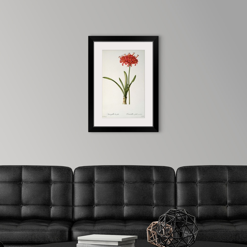 A modern room featuring Vertical painting on canvas of a brightly colored flower on a neutral backdrop.