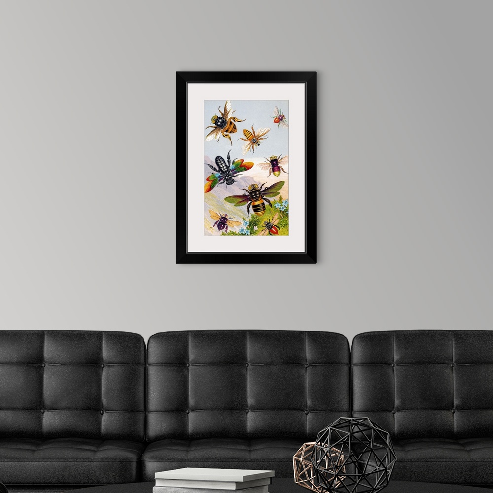 A modern room featuring Bees. Historical chromolithograph artwork of exotic bees. Clockwise from upper left are: Centris ...