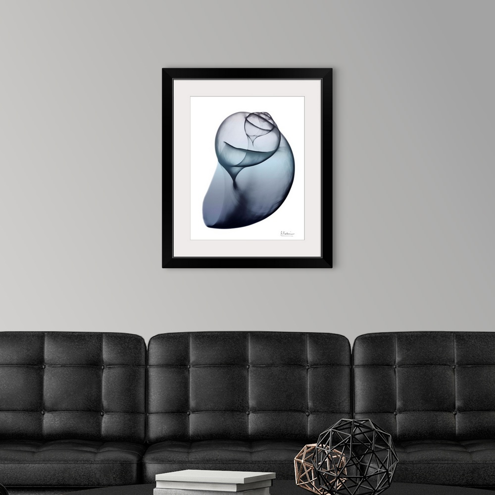 A modern room featuring Lavender Snail 3