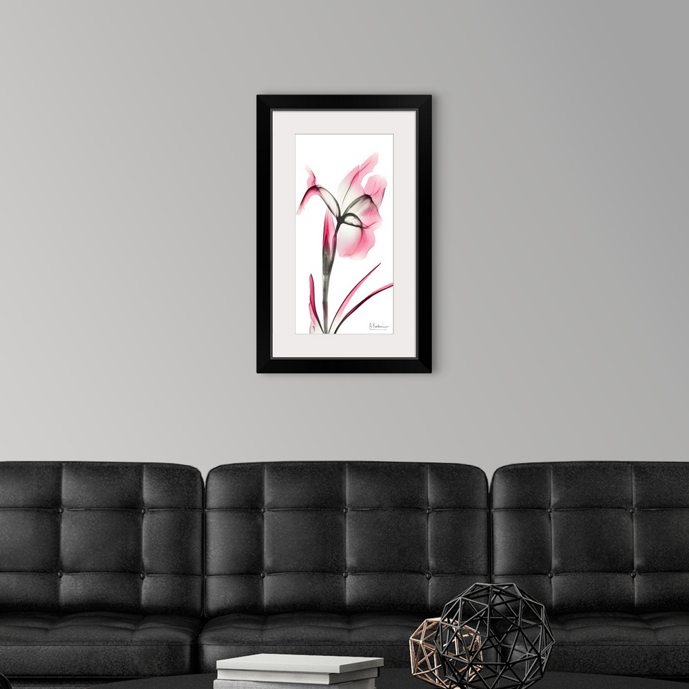 A modern room featuring Pink Infused Iris 2