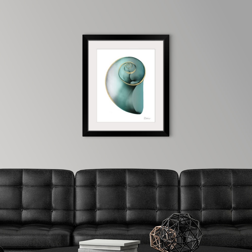 A modern room featuring Shimmering Snail 2