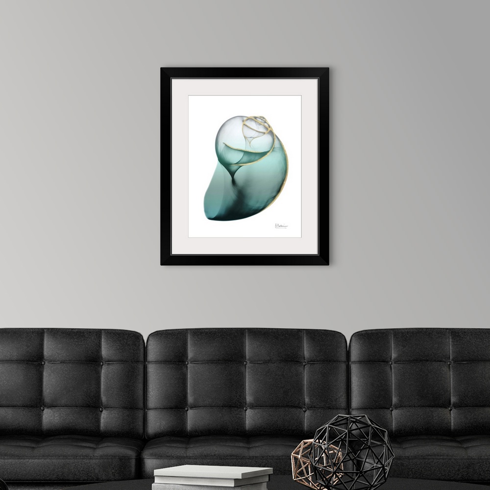 A modern room featuring Shimmering Snail 3