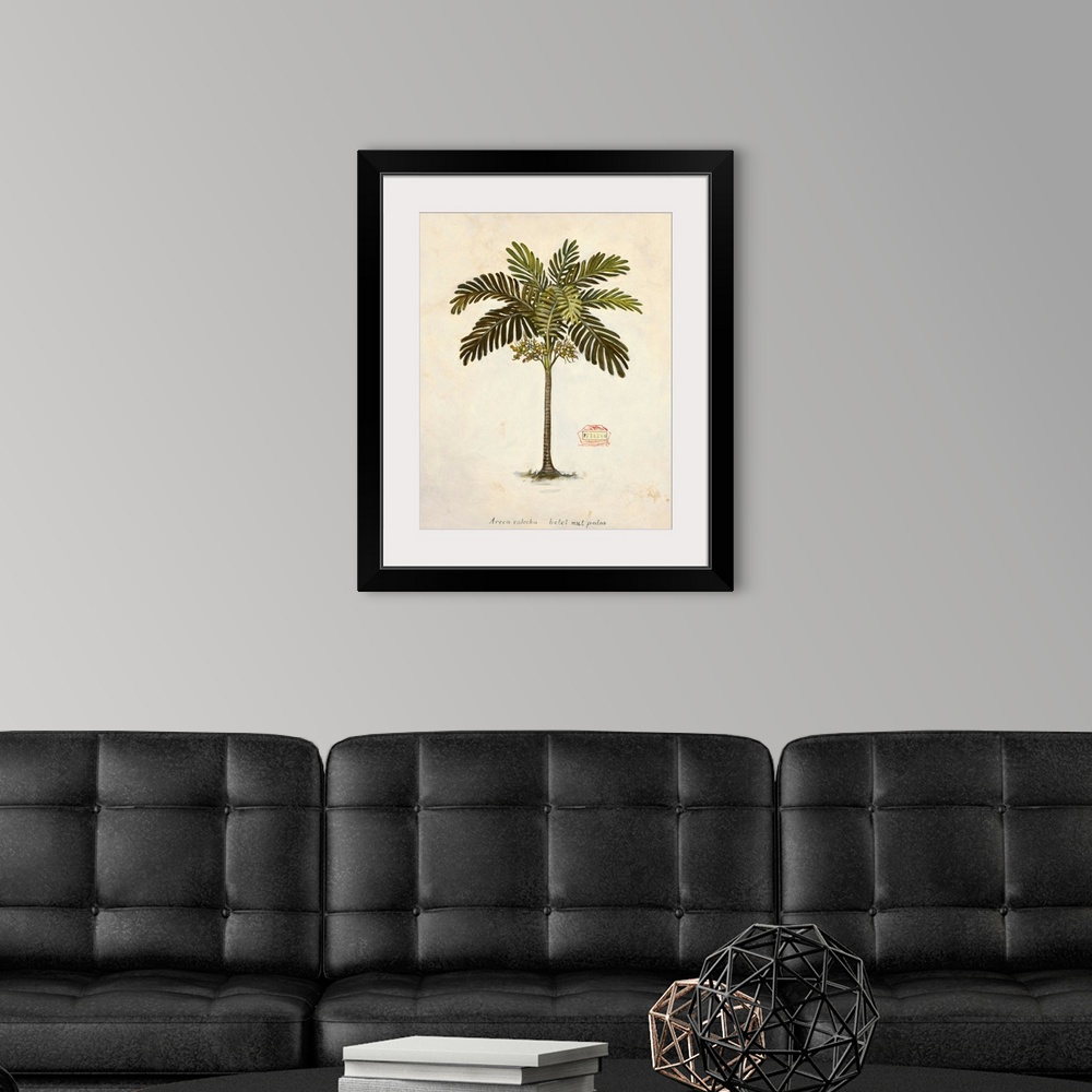 A modern room featuring Nut Palm Illustration