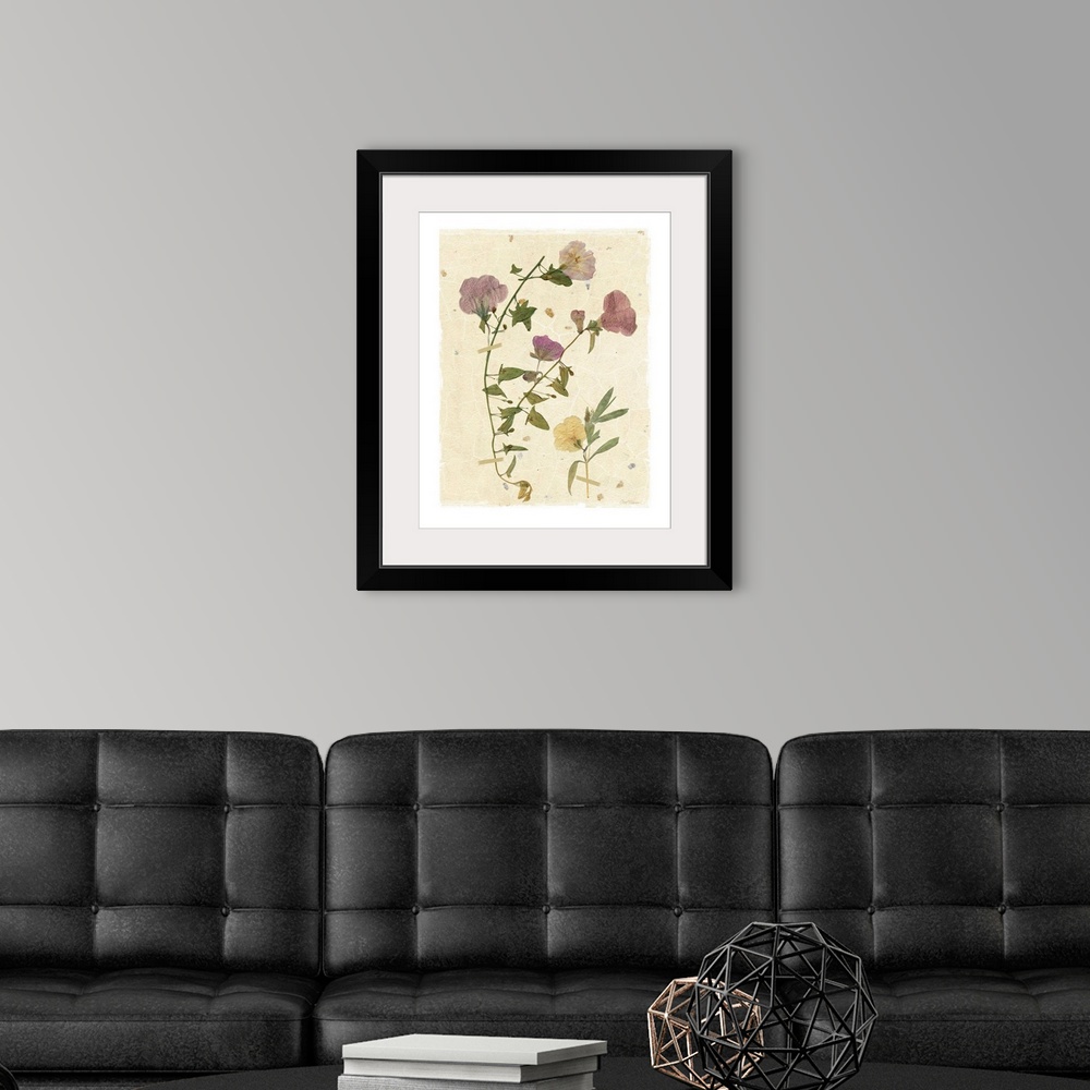 A modern room featuring Scan of pressed morning glory flowers on a textured beige background with a white boarder.