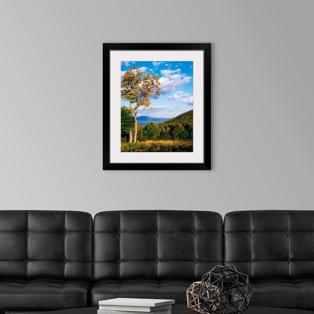 A modern room featuring New Hampshire, White Mountain National Forest, Kancamagus Pass, Trees in front of mountains