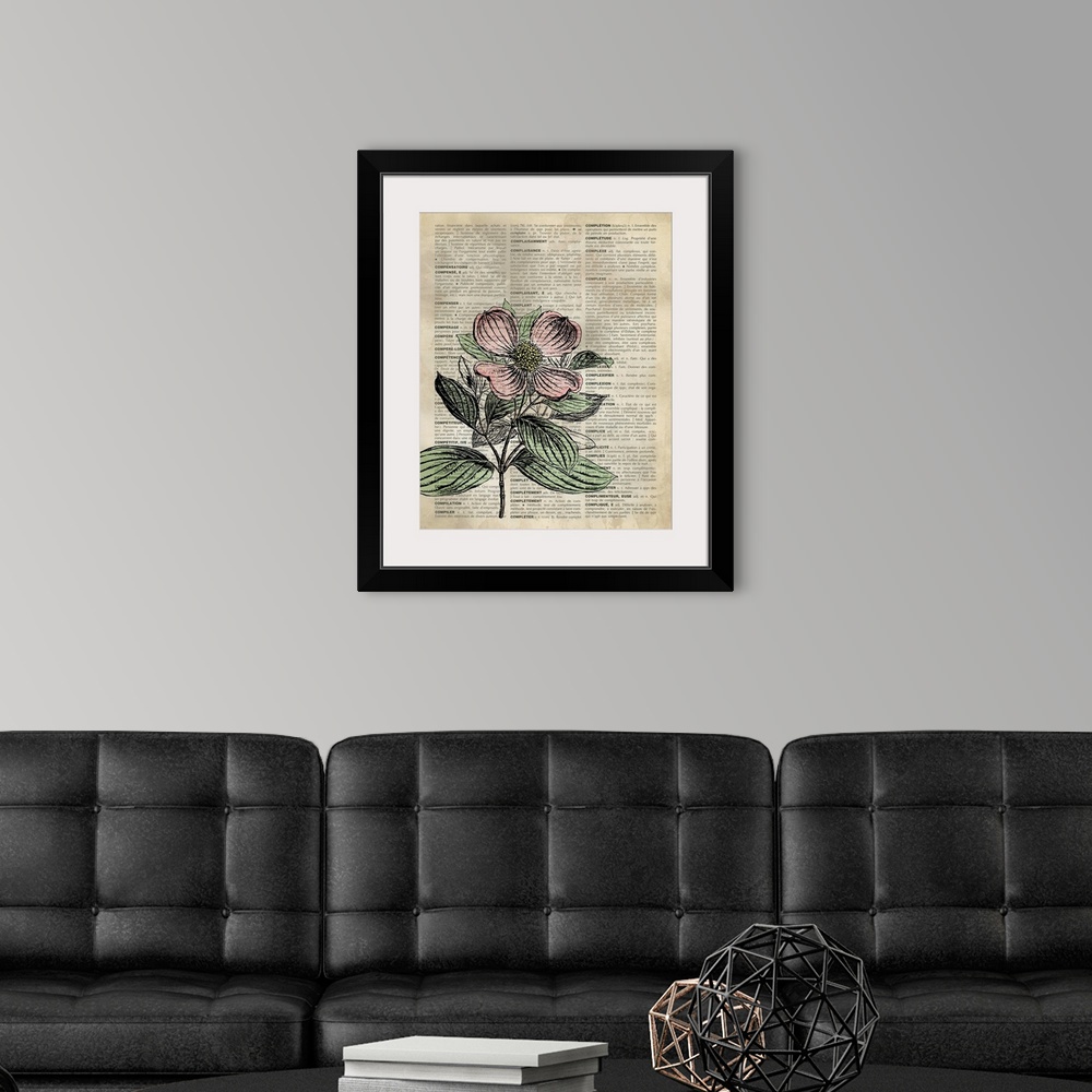 A modern room featuring Vintage Dictionary Art: Dogwood